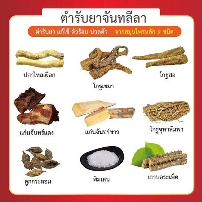 จันทน์ลีลาผง-สินค้าบดผง-100