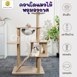 Cherie Pet シ คอนโดแมว คอนโดแมวใหญ่ คอนโดแมวไม้ บ้านแมว พร้อมเสาลับเล็บแมว สูง 111-169 cm