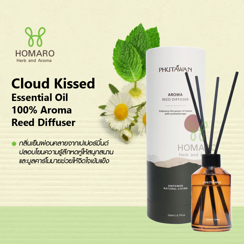 Essential oil Reed Diffuser ก้านไม้หอมปรับอากาศ ส่วนผสมจาก น้ำมันหอม ...