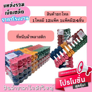 หนีบผ้าพลาสติก (1โหลมี 12แพ็คมี 24ชิ้น)