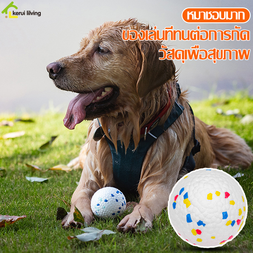 ลูกบอลสุนัข-ลูกบอลกระเด้ง-ของเล่นหมา-มี-2-ขนาดให้เลือก-บอลยาง-สำหรับสัตว์เลี้ยง-สุนัข-ลูกบอลหมา-บอลโยน-ของเล่นสุนัข