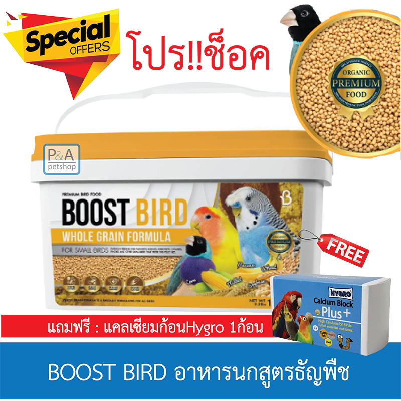 พร้อมส่ง!! BOOST BIRD อาหารนกสูตรธัญพืช /สำหรับนกขนาดเล็ก/ 1kg. [โปรแถม ...