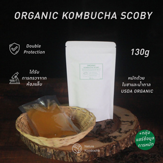 Organic Kombucha Scoby หัวเชื้อหมักคอมบูชา หรือคอมบูฉะ อินทรีย์ | Nature Kombucha