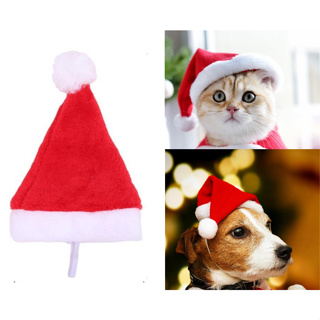 ภาพหน้าปกสินค้าหมวกคริสมาส จิ๋ว ขนาด 14x19cm สำหรับ สัตว์เลี้ยง แมว หมา พร้อมส่ง Mini Christmas Santa Hat for Pets Dog Cat ที่เกี่ยวข้อง