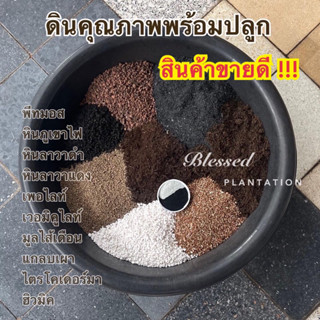 ดินพร้อมปลูก ดินผสมพร้อมปลูก ดินคุณภาพพร้อมปลูก เน้นระบบราก