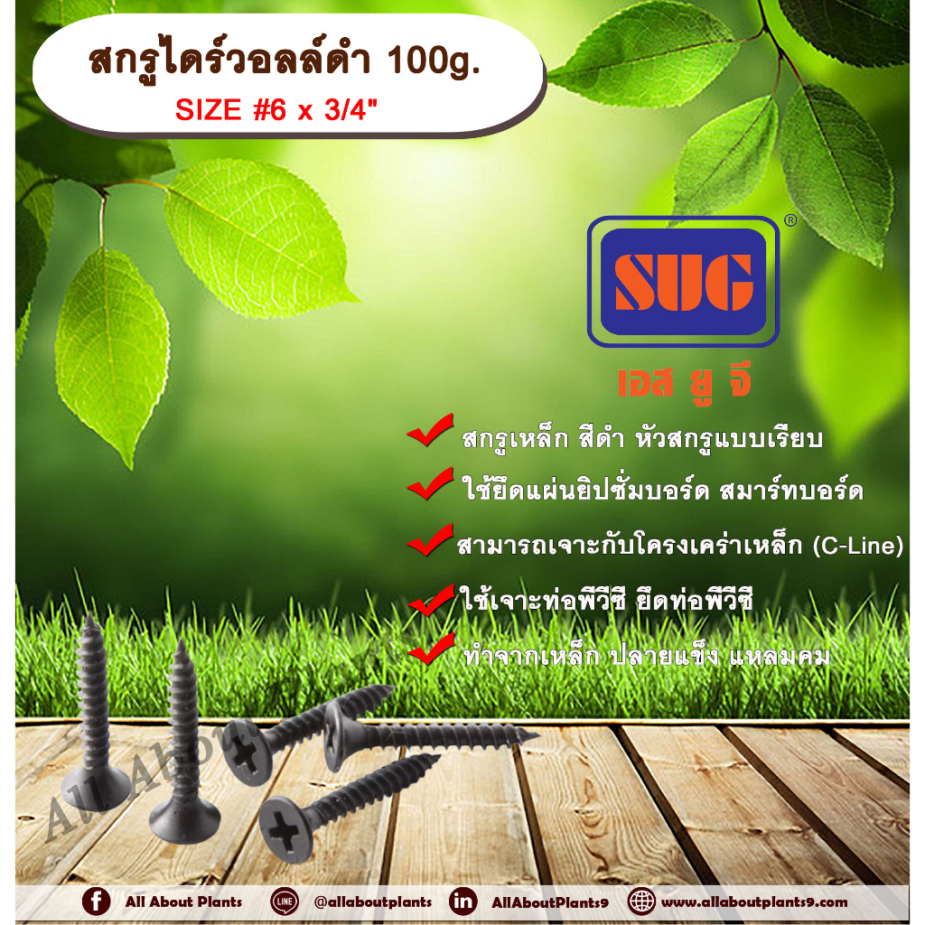 สกรูไดร์วอล์ดำ-6x3-4-100g-สกรูยึดแผ่นยิปซั่ม-สกรูดำยิงฝ้า-สกรูไดวอล-น๊อตดำ-สกรูดำ-น๊อตยิงฝ้า-เกลียวดำ