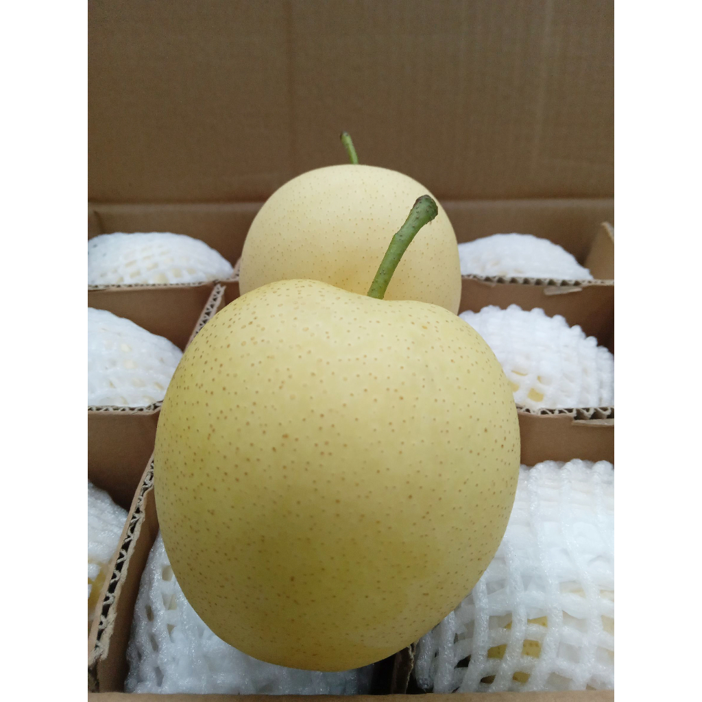 สาลี่มงกุฏ-สาลี่ญี่ปุ่น-century-pear-crown-pear-กล่องเหลือง-ตราไก่-น้ำหนัก-11-5-กิโล