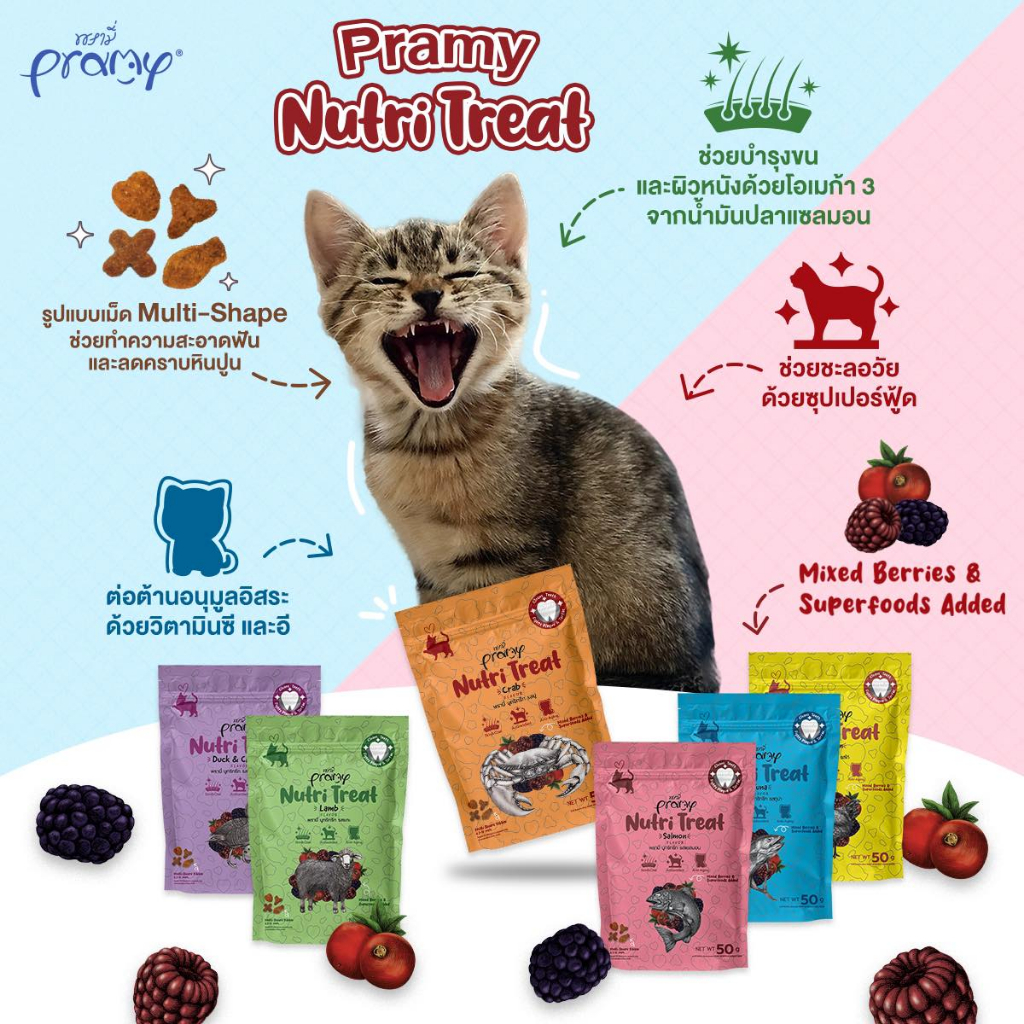 pramy-nutri-treat-พรามี่-ขนมขัดฟันแมวหลากหลายรสชาติ-ขนาด-50g