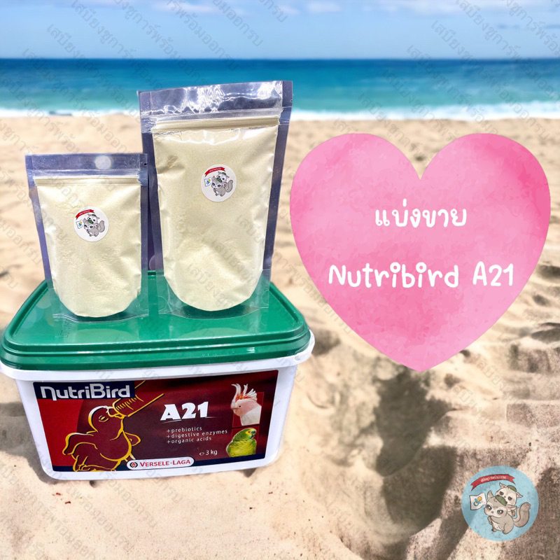 ( นูทรีเบิร์ด A21 ) Nutribird A21 แบ่งขาย อาหารนกลูกป้อน อาหารนก อาหารลูกป้อน อาหารป้อนลูกนก นกแก้ว นกสายพันธุ์ นก ลูกนก