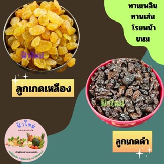 ภาพหน้าปกสินค้า🍇ลูกเกด 500 กรัม ลูกเกดดำเม็ด ลูกเกดเหลือง เม็ดกลาง ที่เกี่ยวข้อง