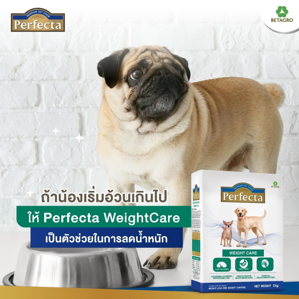 พร้อมส่งมีของแถม-สูตรรักษาโรคไต-500g-อาหารสุนัขโรคผิวหนังแพ้อาหาร-อาหารสุนัขลดน้ำหนัก-อาหารสุนัขควบคุมน้าหนัก-bn