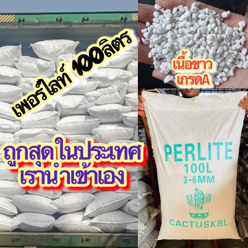 เพอร์ไลท์ราคาถูก-perlite-เพอร์ไลท์100ลิตร-เพอร์ไลท์ผสมปลูกแคคตัส