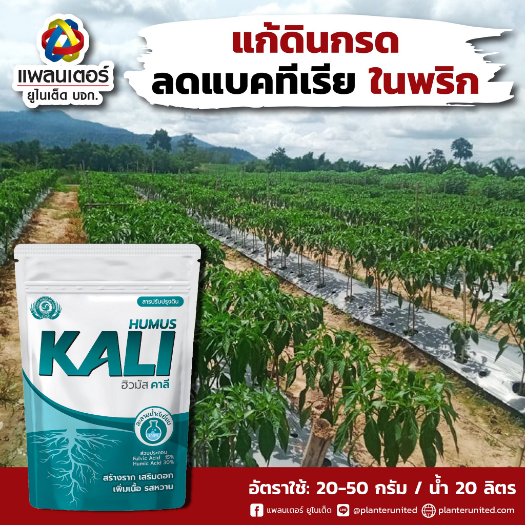 ฮิวมัส-คาลี-สารอินทรีย์สกัดเข้มข้น-ฮิวมิค-ฮิวมิคแอซิด-ฮิวมิคปรับสภาพดิน-เร่งราก-เร่งดอก-ฟื้นฟูต้น-ปลดปล่อยธาตุ-1กก