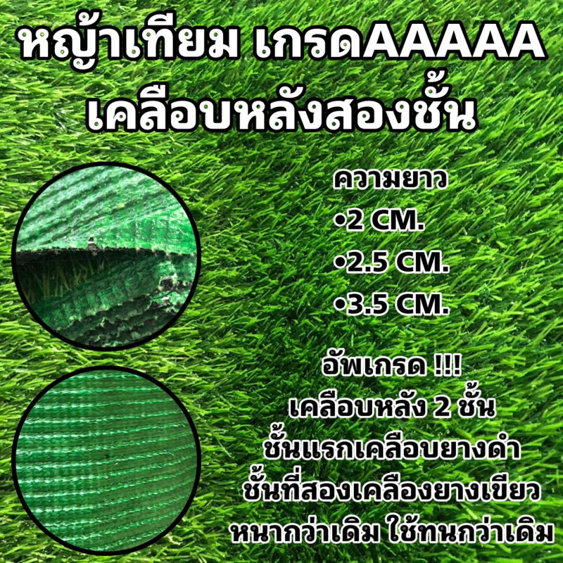 ภาพหน้าปกสินค้าหญ้าเทียม แบบเคลือบหลัง 2 ชั้น (ดีกว่าหลังดำทั่วไป) เกรดAAAAA มีรูระบายน้ำ เขียวสด สีหญ้างาม (จำหน่ายเป็นตารางเมตร)