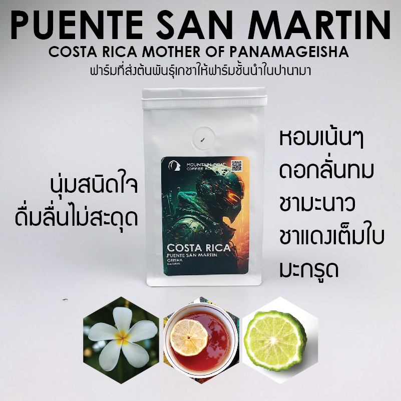 COSTA RICA PUENTE MARTIN Geisha Natural | Shopee Thailand