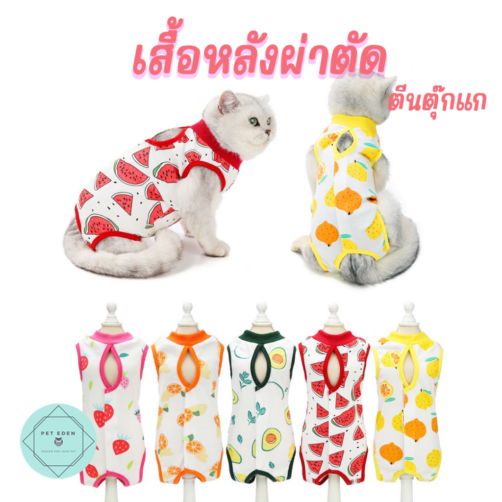 ภาพหน้าปกสินค้าเสื้อหลังผ่าตัดผลไม้ Pet Recovery Suit เสื้อทำหมัน แมว หมา สุนัข จากร้าน pet_eden บน Shopee