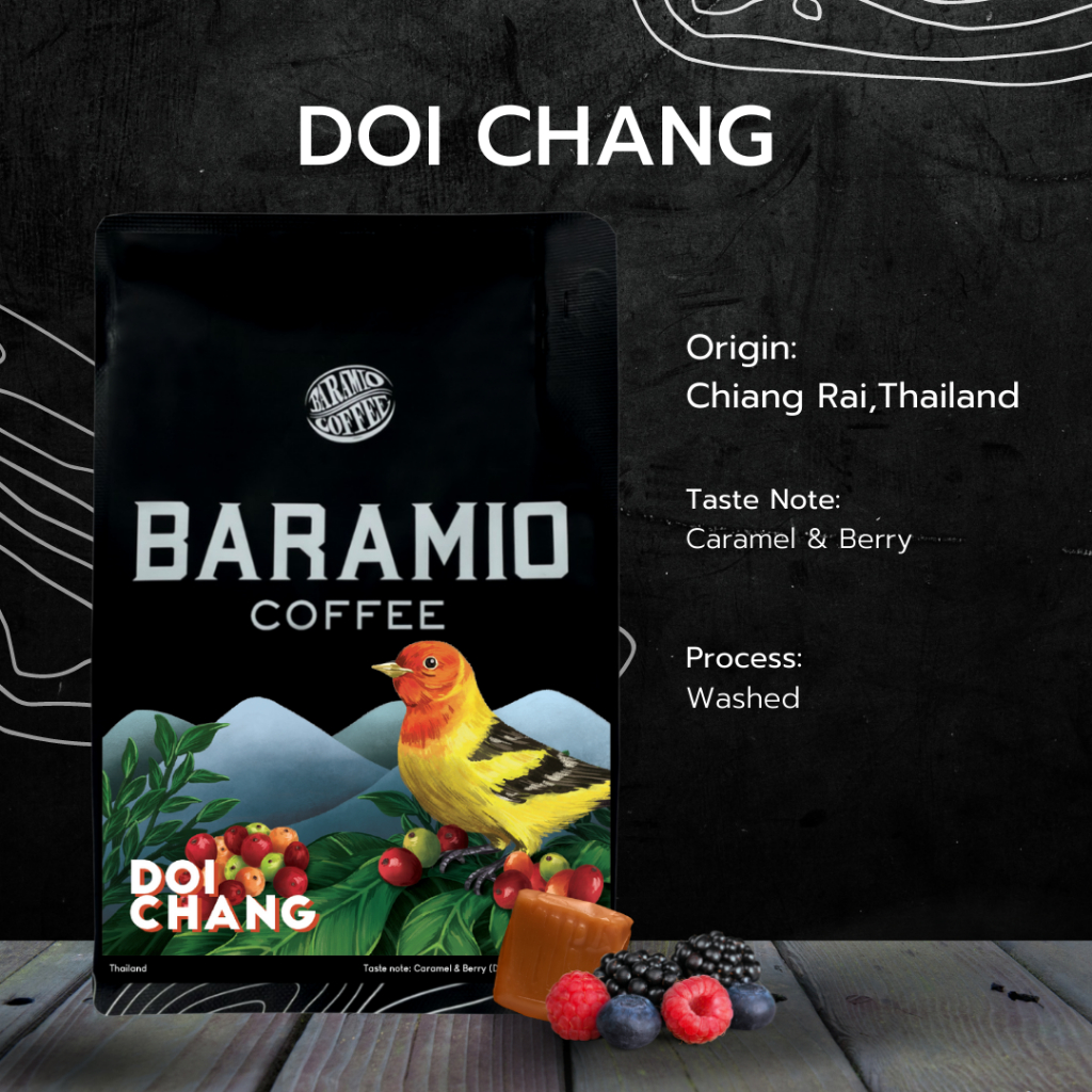 ราคาส่ง-baramio-เมล็ดกาแฟคั่วดอยช้าง-1-3-กิโลกรัม-taste-note-dark-chocolate-black-tea-berry-sweet-finish