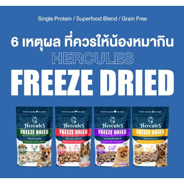 hercules-freeze-dried-ผลิตด้วยเทคโนโลยีฟรีซดราย-อาหารสุนัข-40-กรัม