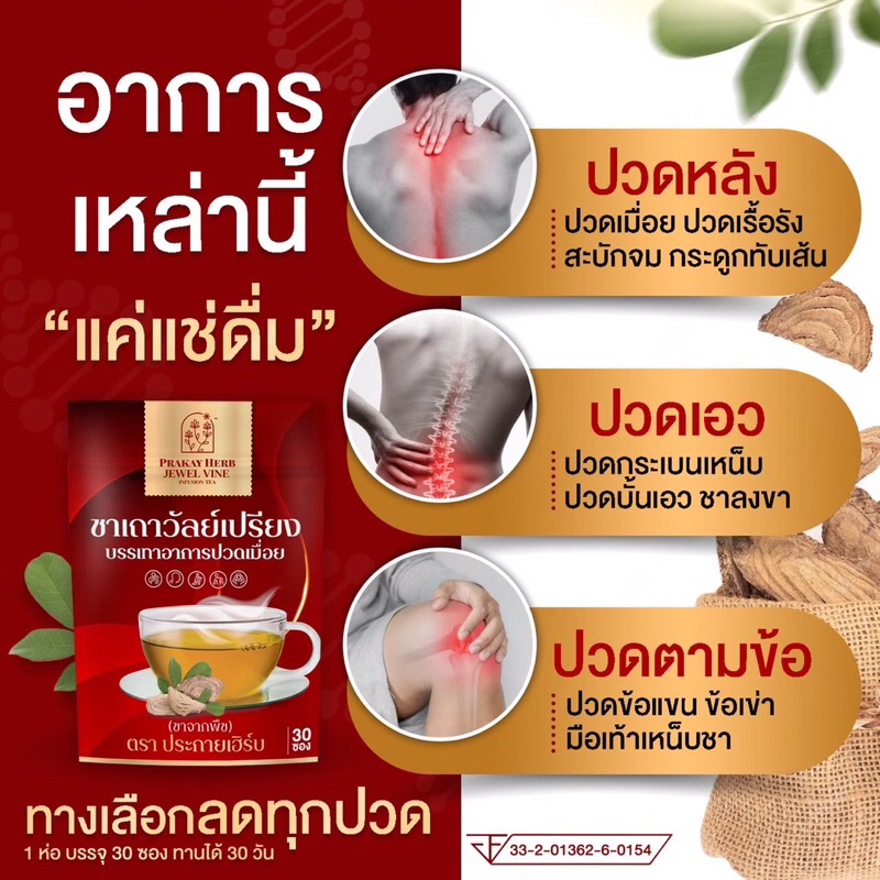 ส่งฟรี-ชาเถาวัลย์เปรียง-แก้ปวดเมื่อย-เครื่องดื่มสมุนไพร-ชาชงคลายเส้น-ออฟฟิศซินโดม-บำรุงธาตุ-ปวดเก๊าท์-ตราประกายเฮิร์บ