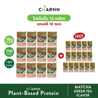 CHARNN โปรตีนจากพืช Plant based Protein MatCha ฌาน โปรตีนพืช 100% รสมัทฉะ (แพ็ค 12 กล่องแถม 16 ซอง)