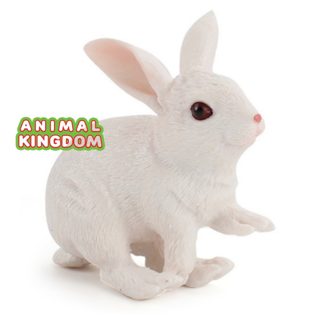 animal-kingdom-โมเดลสัตว์-กระต่าย-ขาว-ขนาด-11-00-cm-จากหาดใหญ่