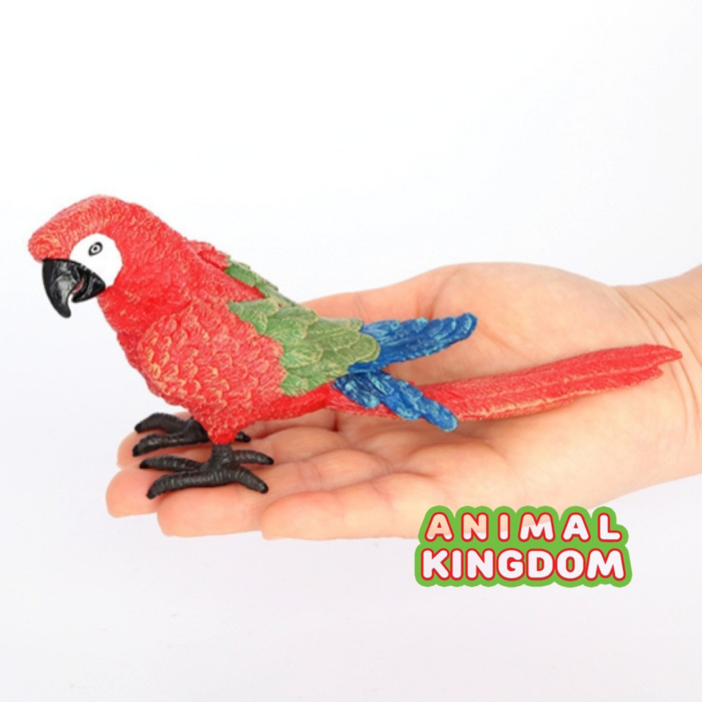 animal-kingdom-โมเดลสัตว์-นกแก้ว-แดง-ขนาด-17-00-cm-จากหาดใหญ่