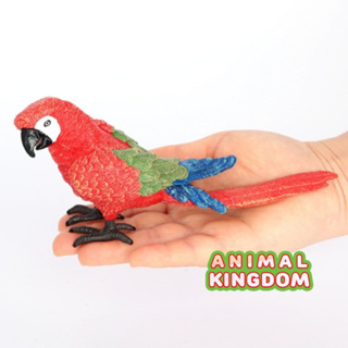 Animal Kingdom - โมเดลสัตว์ นกแก้ว แดง ขนาด 17.00 CM (จากหาดใหญ่)