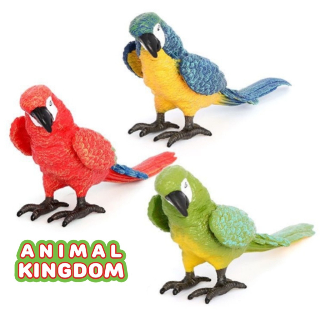 animal-kingdom-โมเดลสัตว์-นกแก้ว-เขียว-ขนาด-17-00-cm-จากหาดใหญ่