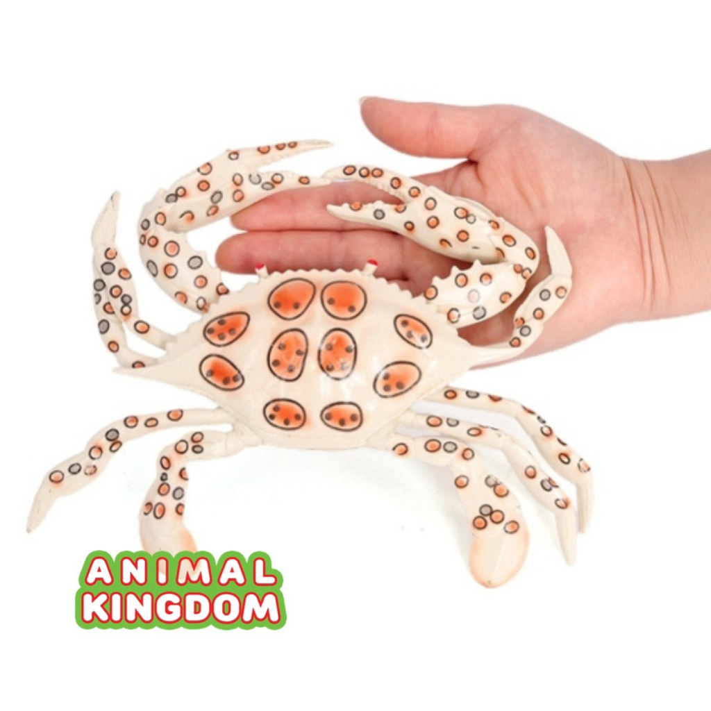 animal-kingdom-โมเดลสัตว์-ปูม้า-ขาวจุด-ขนาด-23-00-cm-จากหาดใหญ่