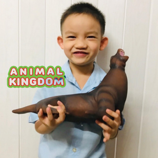 Animal Kingdom - โมเดลสัตว์ แมวน้ำ สิงโตทะเล เทา 38.00 CM แบบนิ้ม (จากสงขลา)