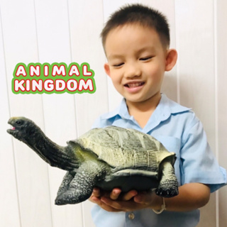 Animal Kingdom - โมเดลสัตว์ เต่ายักษ์ กาลาปาโกส เขียว ขนาด 33.00 CM แบบนิ่ม (จากสงขลา)
