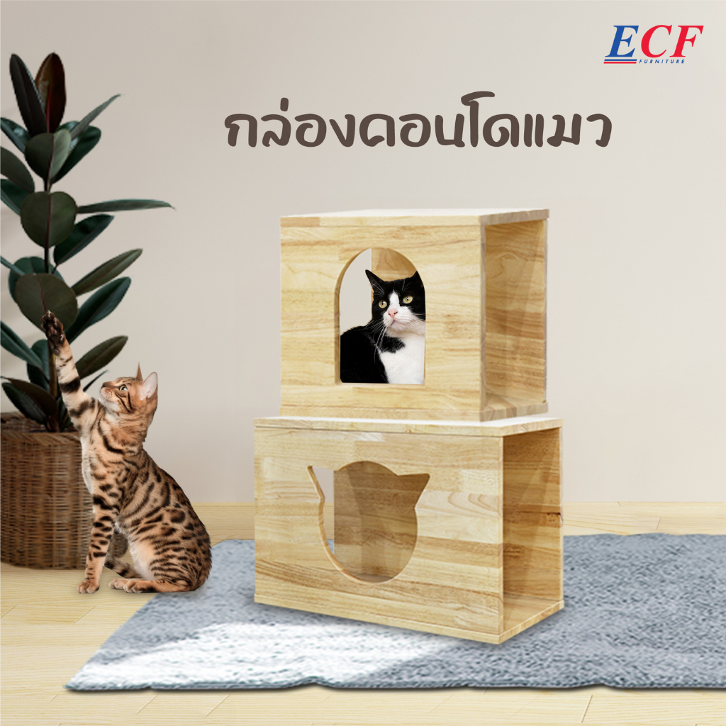 ecf-furniture-บ้านแมวสไตล์ญี่ปุ่น-คอนโดหมา-แมว-บ้านแมว-บ้านหมา-ไม้ยางพารา-สำหรับสัตว์เลี้ยง