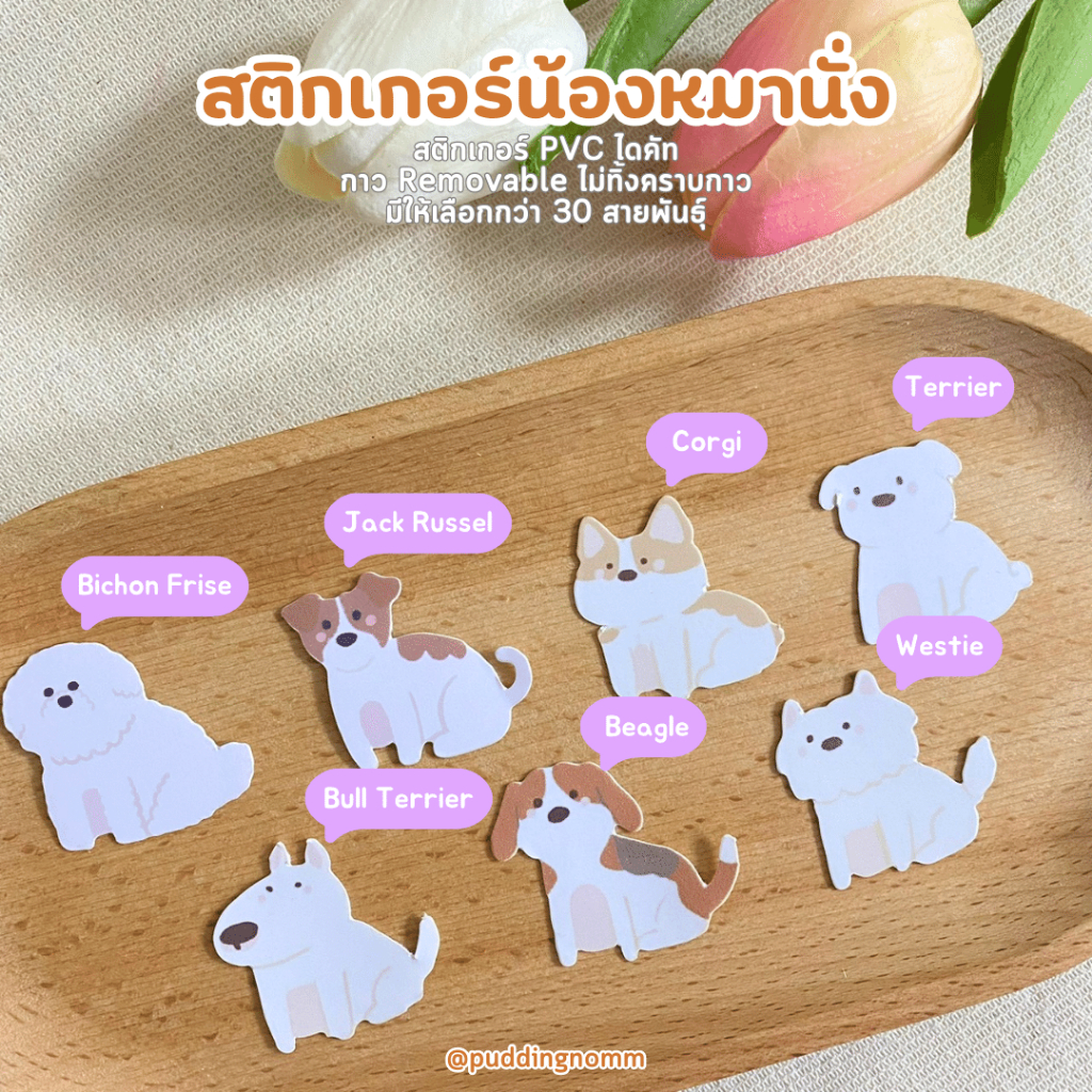 พร้อมส่ง-สติกเกอร์น้องหมา-doggo-sticker-vol-1-สติกเกอร์น้องหมาตามสายพันธุ์-สติกเกอร์ไดคัท-กันน้ำ-ตกแต่ง