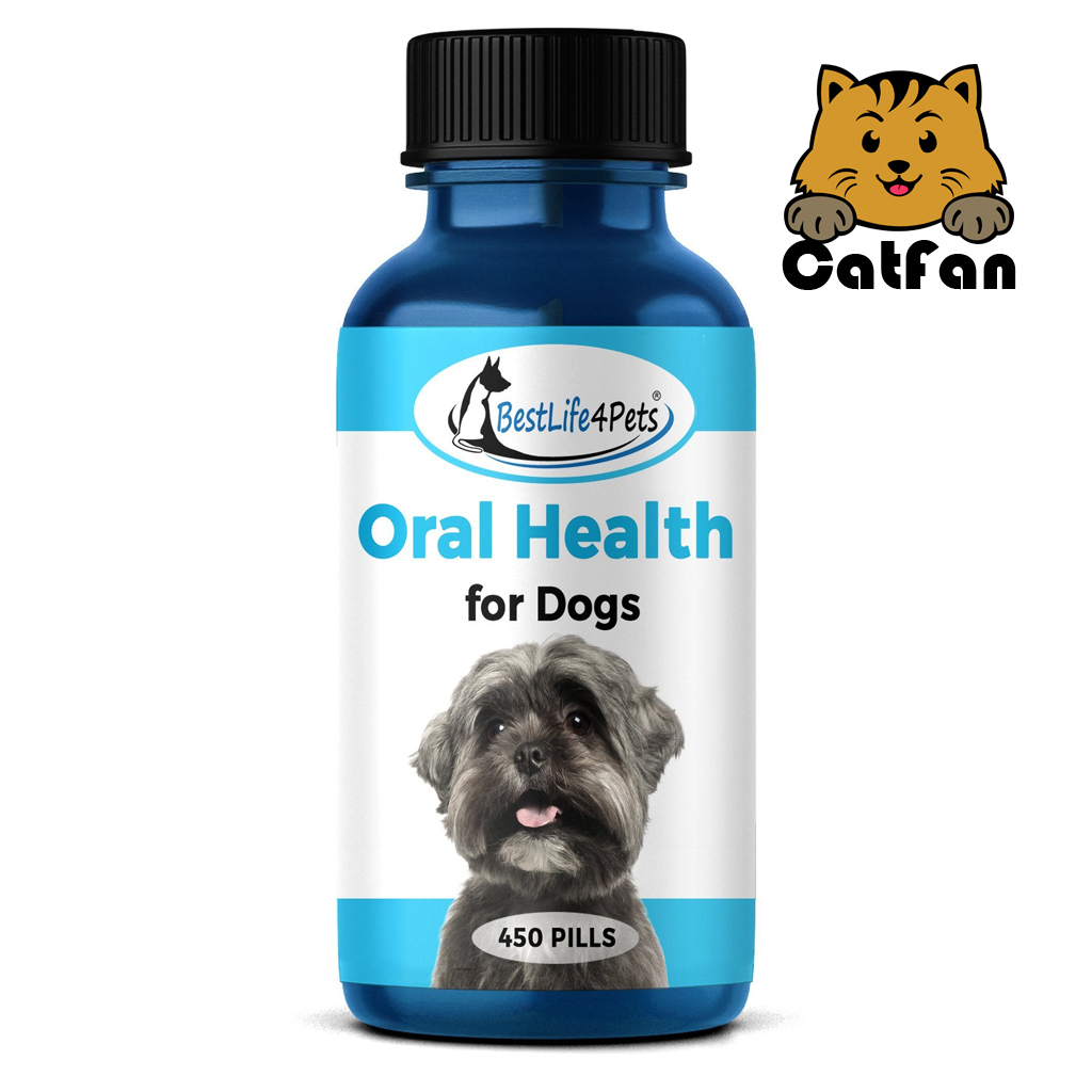 catfan-พร้อมส่ง-bestlife4pets-วิตามินสำหรับสุนัข-ดูแลเหงือก-ช่องปาก-ลิ้น-และฟัน-oral-health-dental-exp-12-23