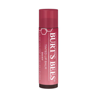 ภาพหน้าปกสินค้าBurt\'s Bees TINTED LIP BALM – DAISY 4.25 g ที่เกี่ยวข้อง