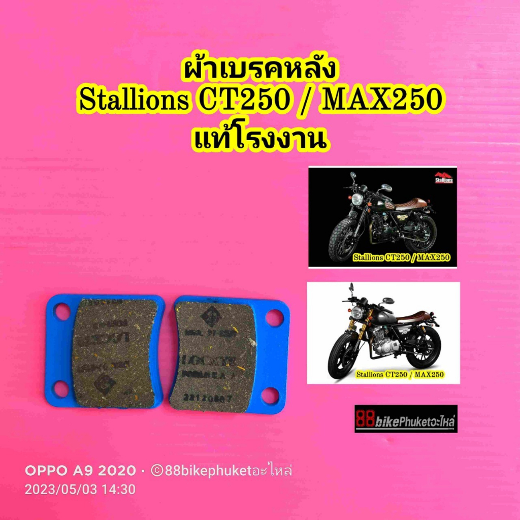 ผ้าเบรคหน้า / ผ้าเบรคหลัง Stallions CT250 / MAX250 แท้โรงงาน ผ้าเบรค ...
