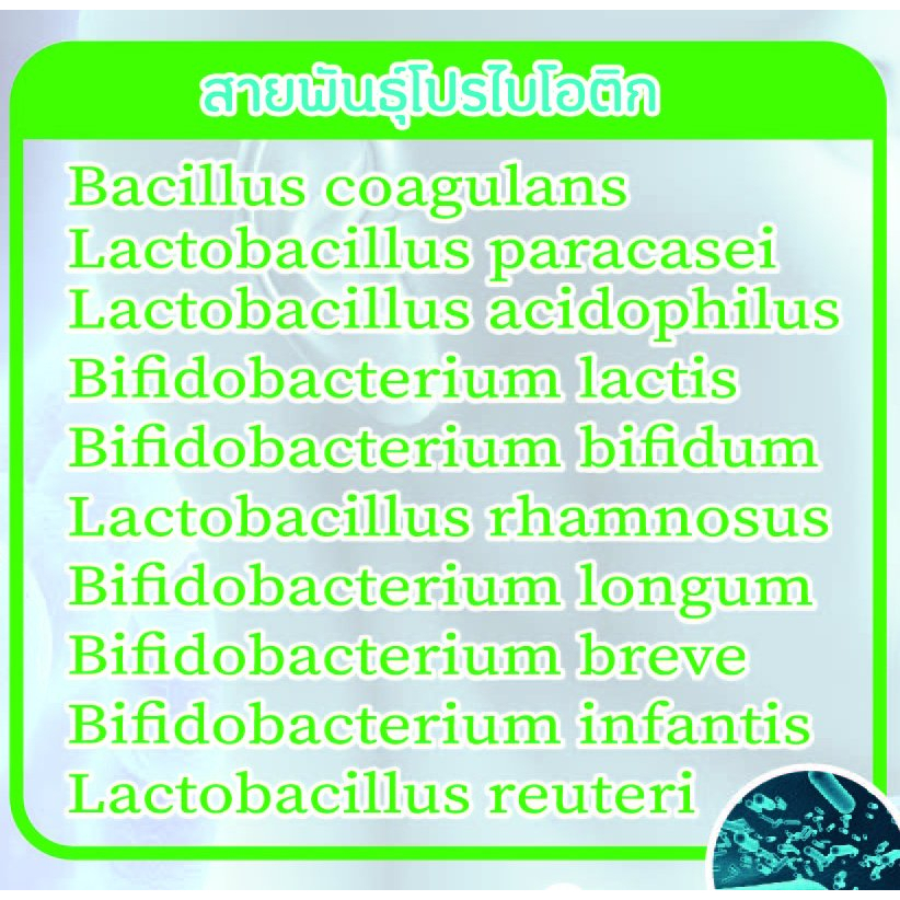 probio-plus-โปรไบโอพลัส-โปรไบโอติก-พรีไบโอติก-25000พันล้านตัว-10สายพันธุ์-เสริมสร้างระบบลำไส้ที่ดี-เพิ่มภูมิต้านทาน-skt