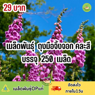 ถูกสุดคุ้ม เมล็ดพันธุ์ ดอกถุงมือจิ้งจอกคละสี บรรจุ 250 เมล็ด