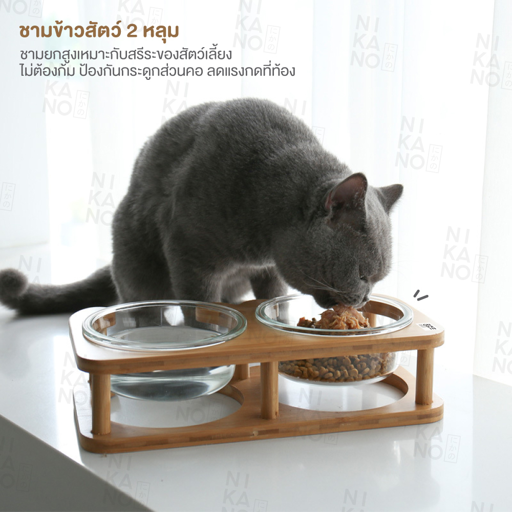 nikano-double-pet-bow-ชามข้าวสัตว์2หลุม-ชามข้าว-สัตว์เลี้ยง-อุปกรณ์-ที่ใส่อาหาร-ถาดหลุม-ใส่น้ำแมว-ถ้วยแก้ว-ฐานสูง