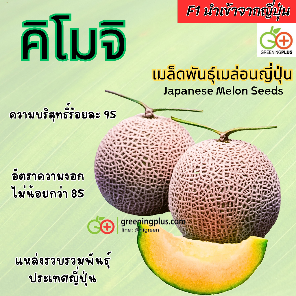 My Image 46