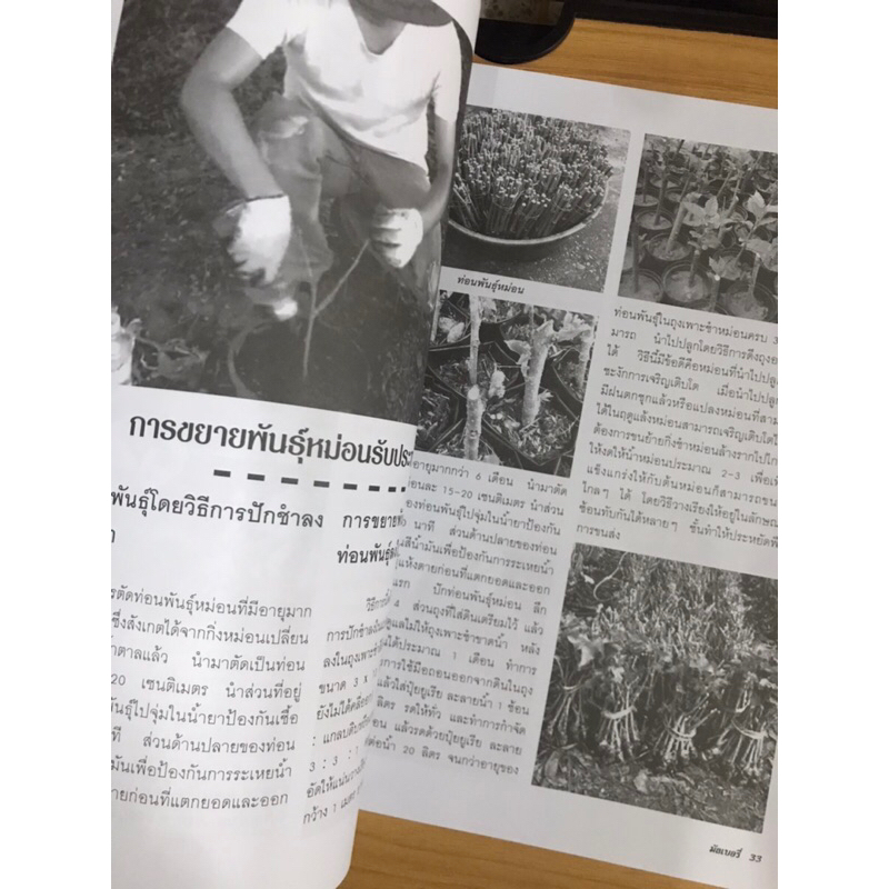 หนังสือคู่มือการปลูกและแปรรูป-ครบวงจรมัลเบอรี่