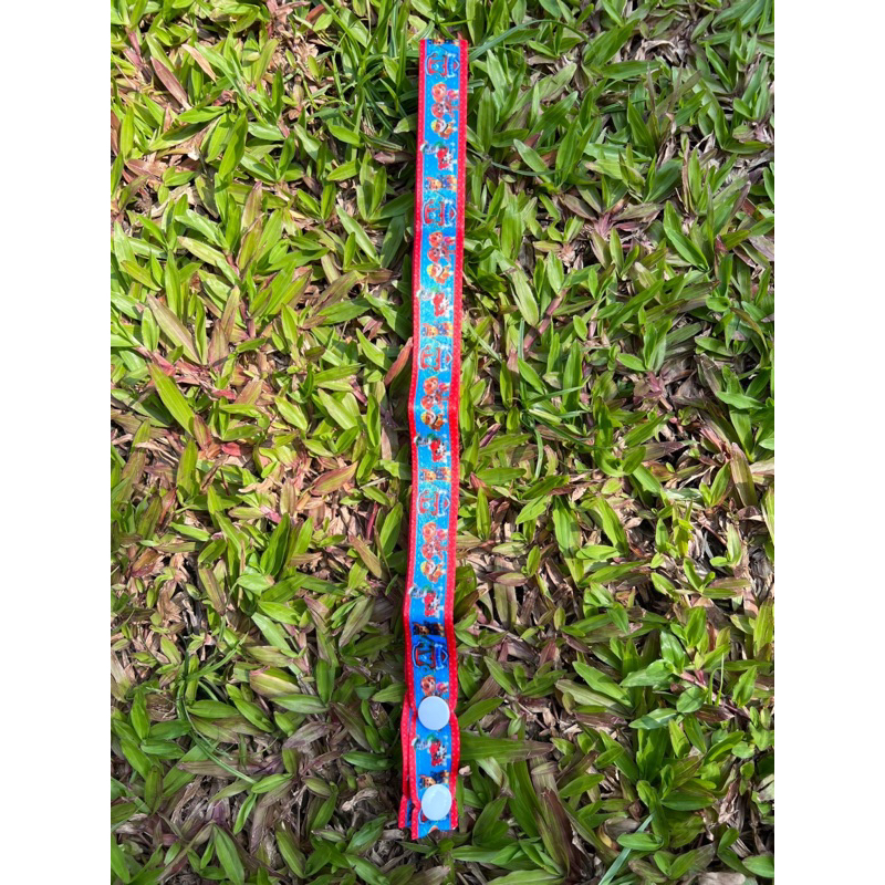 สายคล้องแมสรุ่นกระดุม-paw-patrol