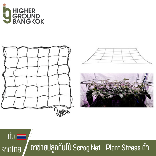ตาข่ายปลูกต้นไม้ Scrog Net - Plant Stress Training - LST | Shopee Thailand