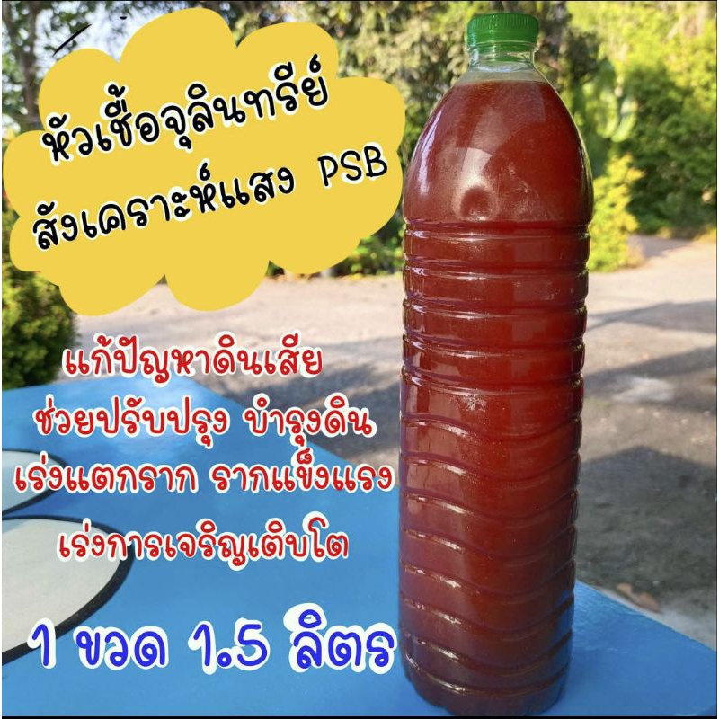 หัวเชื้อจุลินทรีย์สังเคราะห์แสง-ขนาด-1-5-ลิตร-สูตรเข้มข้น-psb-เห็นผลจริง