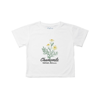 Chamomile ลายใหม่ ผ้าหนานุ่มเกรดพรีเมี่ยม สินค้าพร้อมส่ง