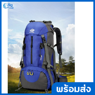 Bigmall Traveler Backpack 60L กระเป๋าเป้สะพายหลัง กระเป๋าเดินทางWaterproof Outdoor Backpack Rucksack Sports