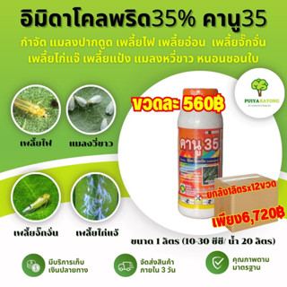 ยกลัง12ขวด อิมิดาโคลพริด35% คานู35 กำจัด แมลงปากดูด เพลี้ยไฟ เพลี้ยอ่อน  เพลี้ยจั๊กจั่น เพลี้ยไก่แจ๊ เพลี้ยแป้ง แมลงหวี่