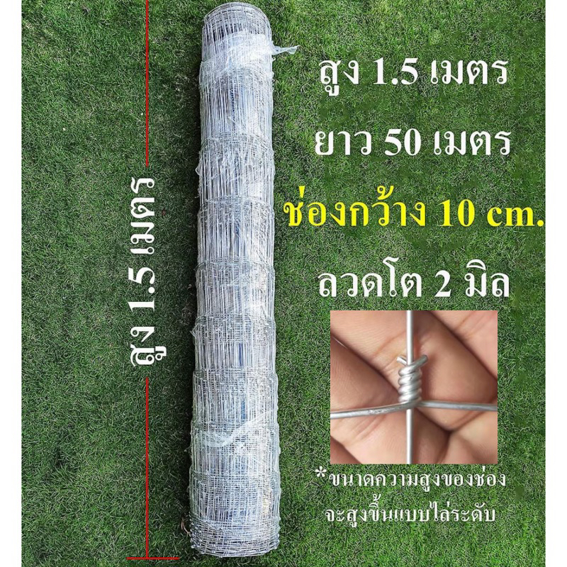 ลวดตาข่าย-สูง150cmยาว50ม-ช่องด้านล่าง10cm-ตาข่ายม้วน-รั้วเกษตร-ล้อมฟาร์ม-รั้วตาข่ายถูก-ตาข่ายถักปม-ตาข่าย-รั้วตาข่าย