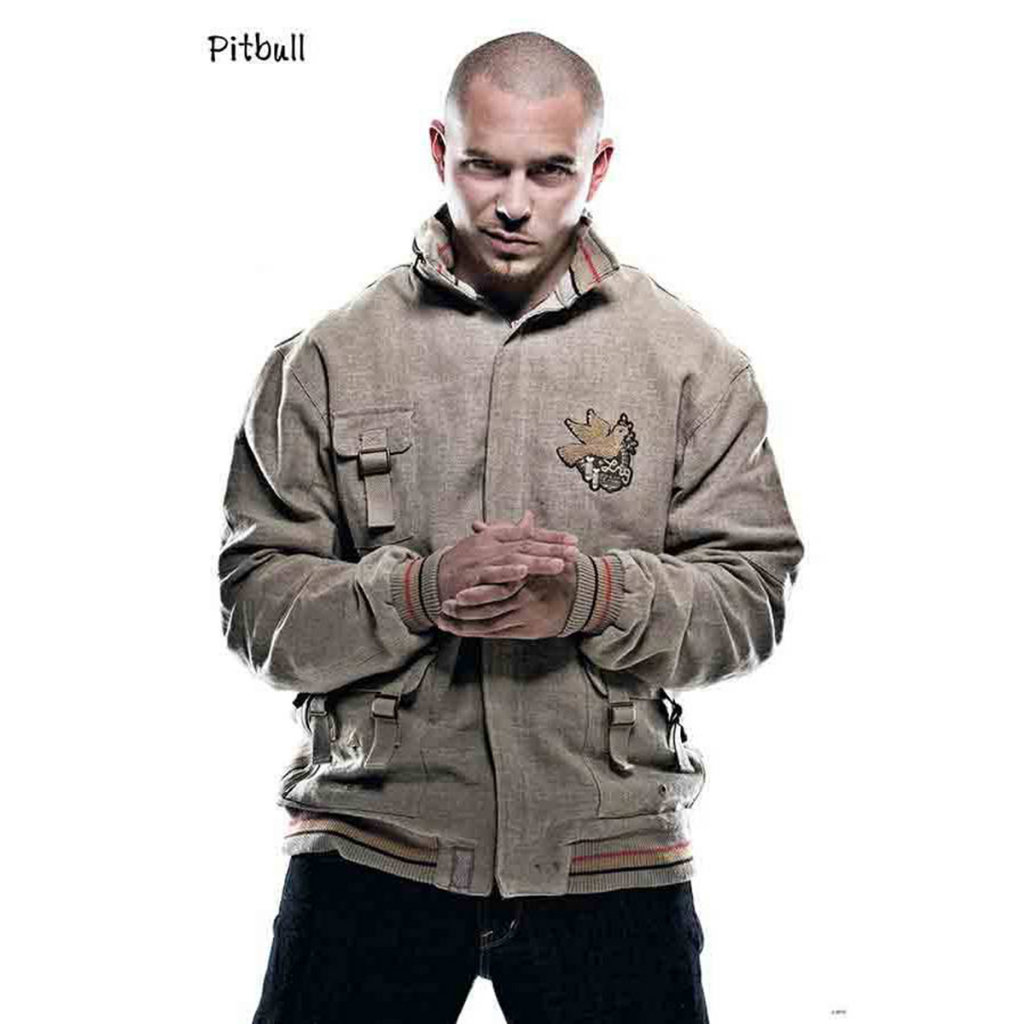 โปสเตอร์-pitbull-พิตบูล-แร็ปเปอร์-วง-ดนตรี-รูป-ภาพ-ติดผนัง-สวยๆ-poster-34-5-x-23-5-นิ้ว-88-x-60-ซม-โดยประมาณ