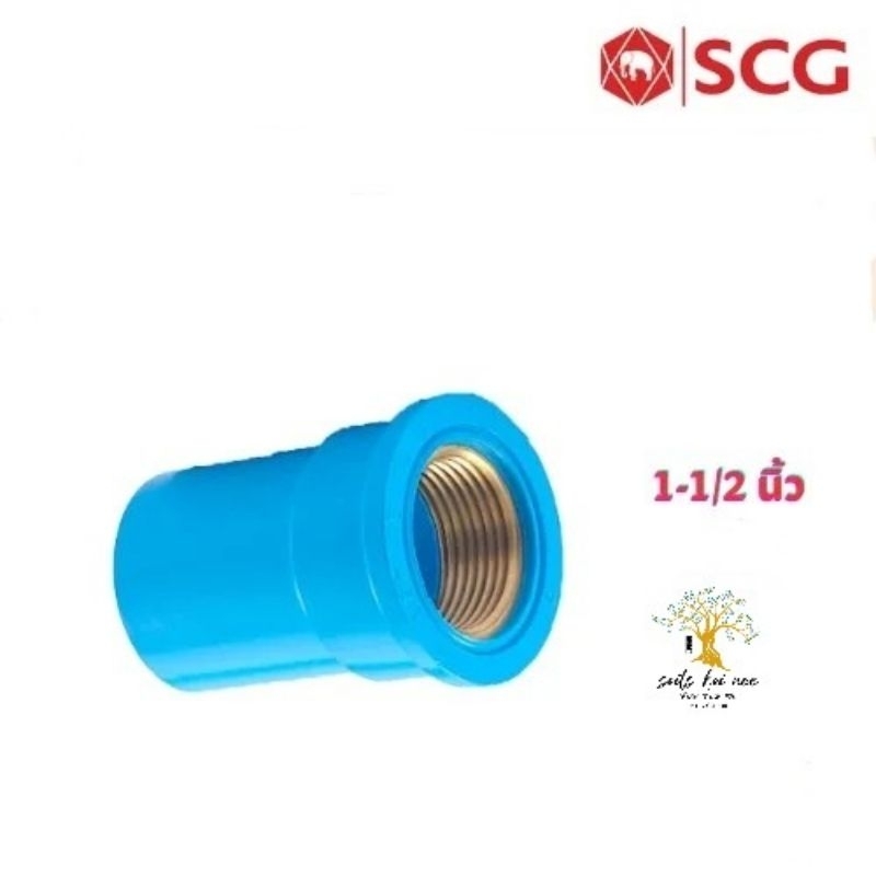 SCG ต่อตรงเกลียวใน ทองเหลือง (Brass Faucet Socket) ท่อหนา อุปกรณ์ท่อ ...